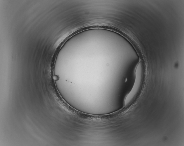 X0000116370834200912231314