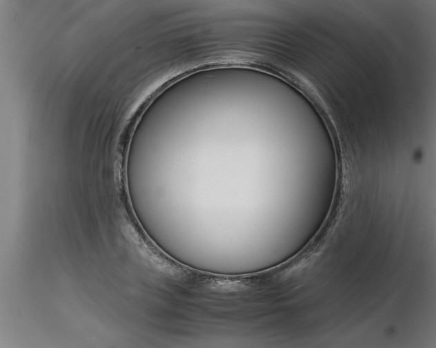 X0000116370835200912231314