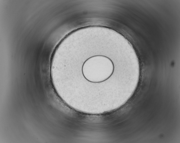 X0000116370836200912231314