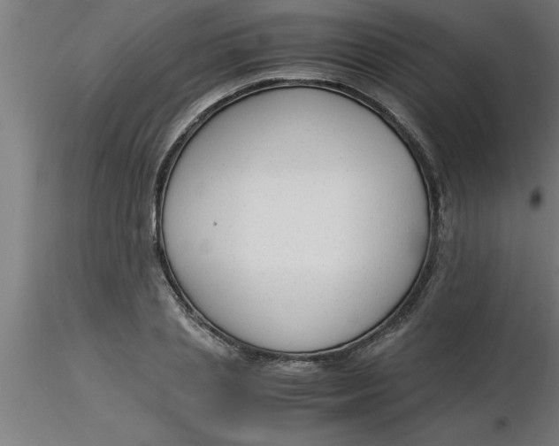 X0000116370837200912231314