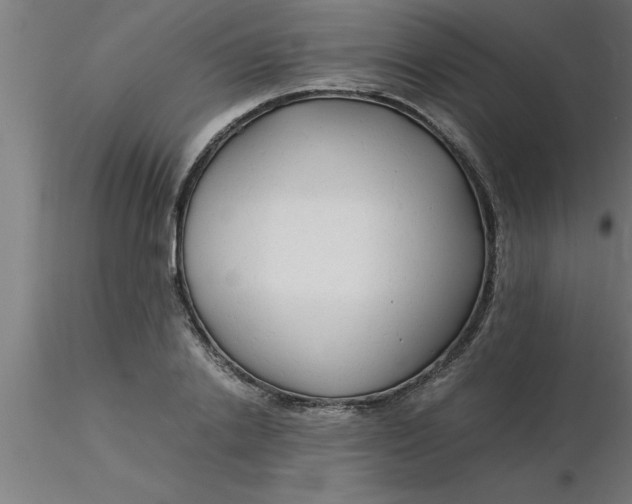 X0000116370838200912231314