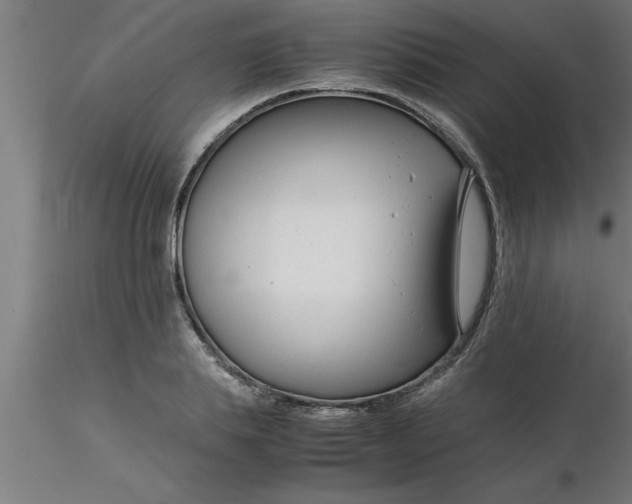 X0000116370839200912231314