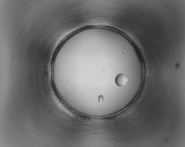 X0000116370840200912231314