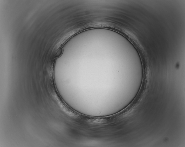 X0000116370841200912231314