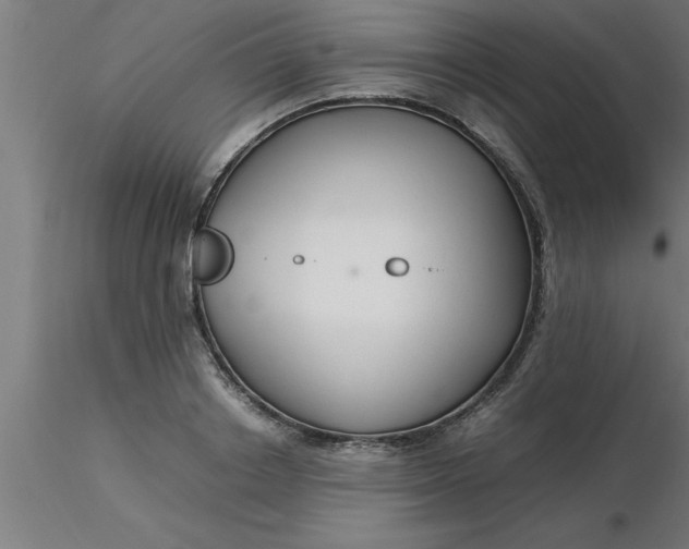 X0000116370842200912231314