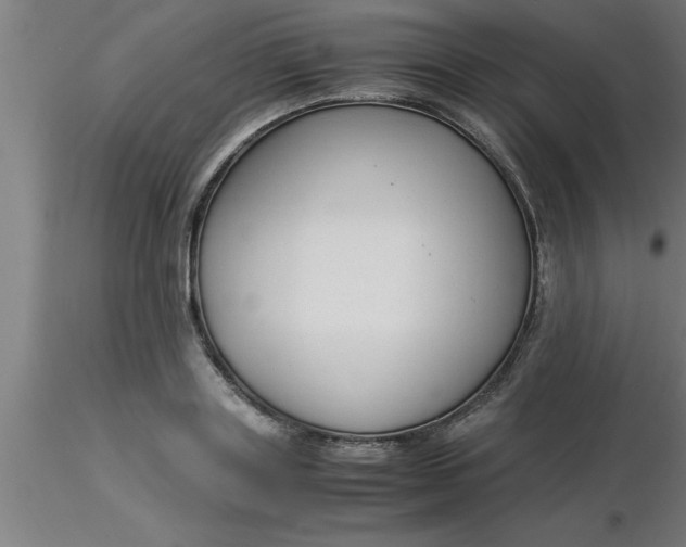 X0000116370843200912231314