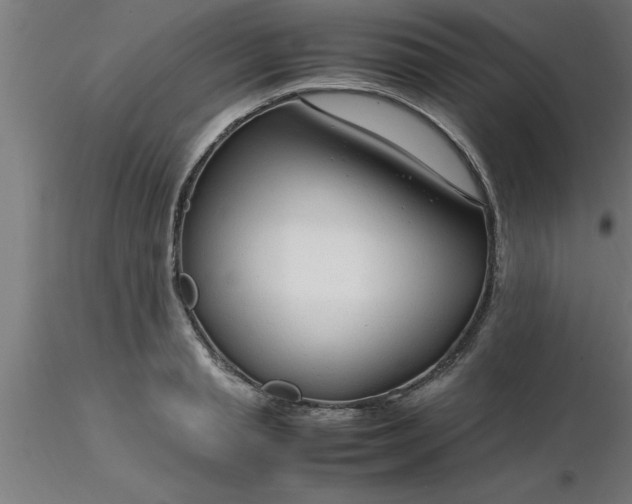 X0000116370845200912231314