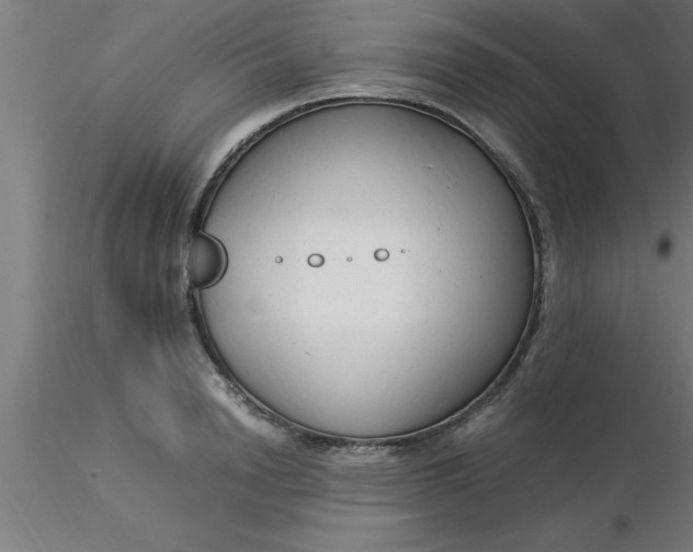 X0000116370846200912231314