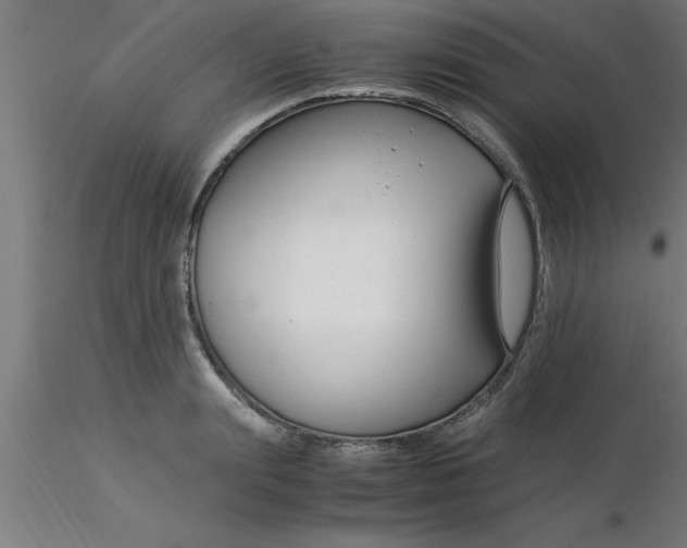 X0000116370847200912231314