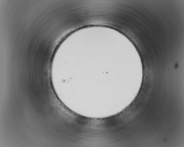 X0000116370848200912231314