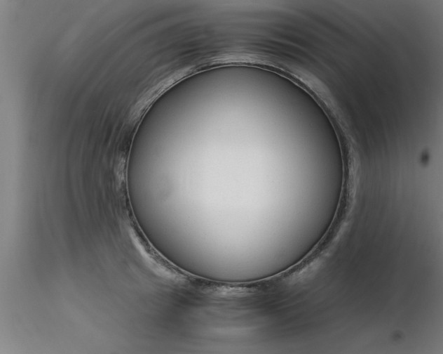 X0000116370849200912231314