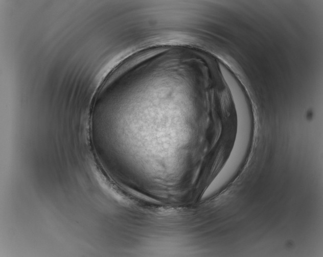 X0000116370850200912231314