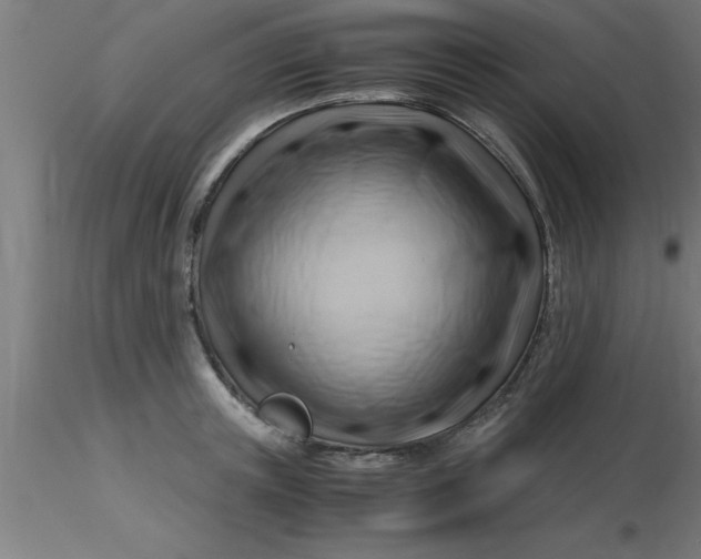 X0000116370851200912231314