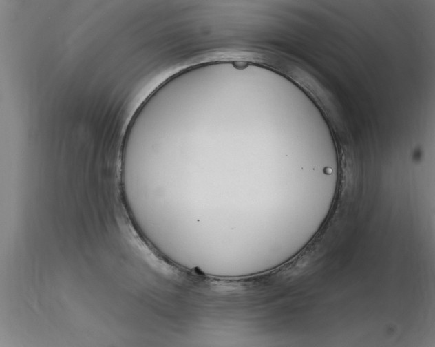 X0000116370852200912231314