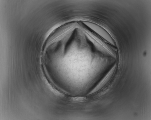 X0000116370853200912231314