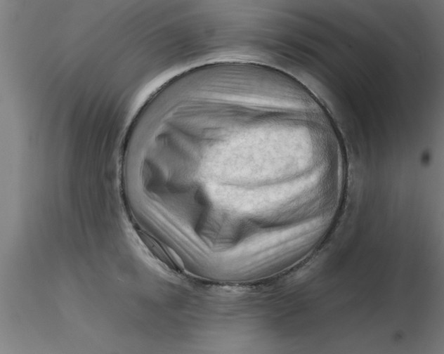 X0000116370854200912231314