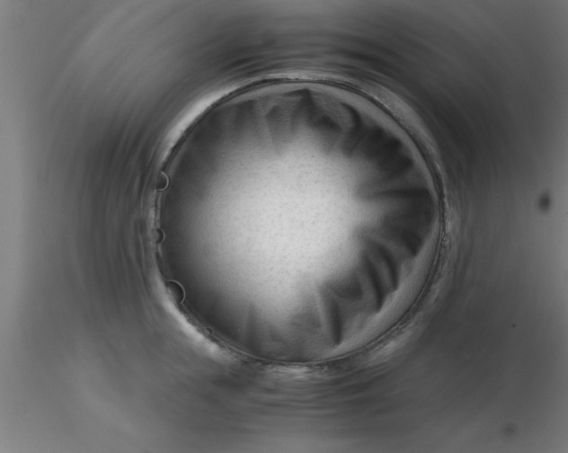 X0000116370855200912231314