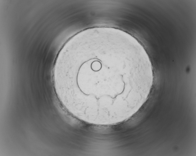 X0000116370856200912231314