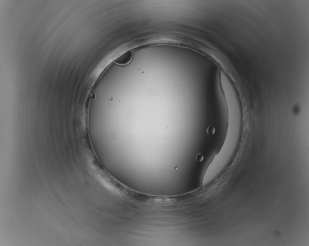 X0000116370858200912231314