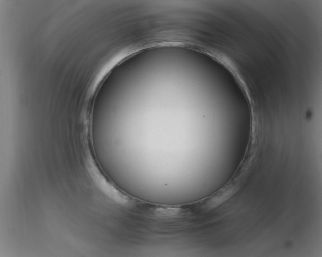 X0000116370859200912231314