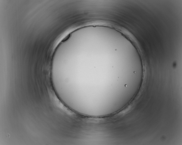 X0000116370860200912231314