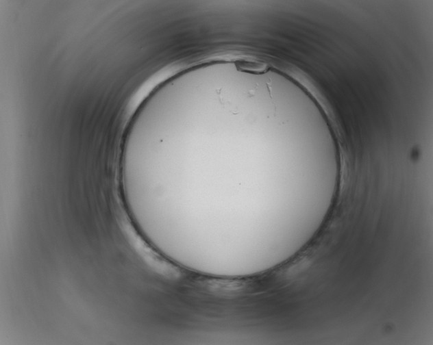 X0000116370861200912231314