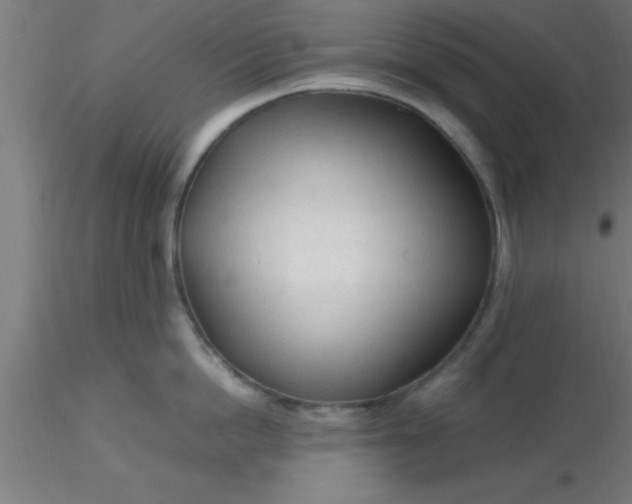 X0000116370862200912231314