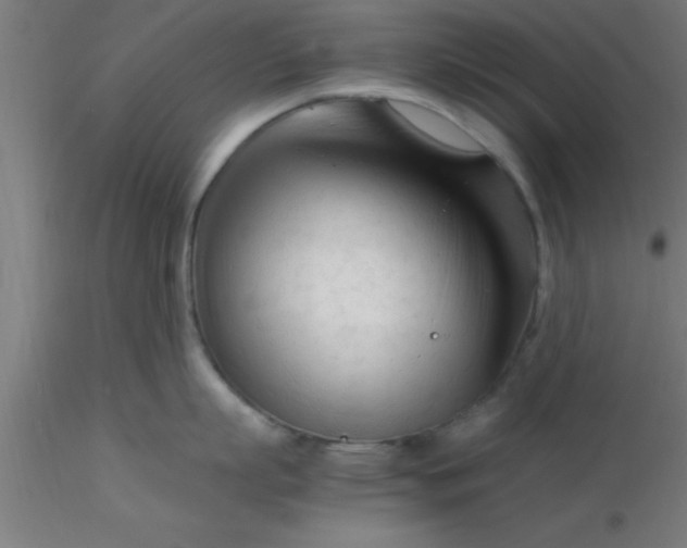 X0000116370863200912231314