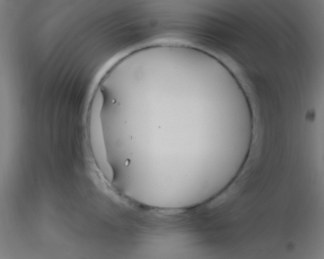 X0000116370864200912231314