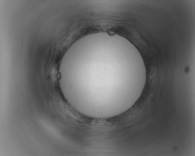 X0000116370866200912231314