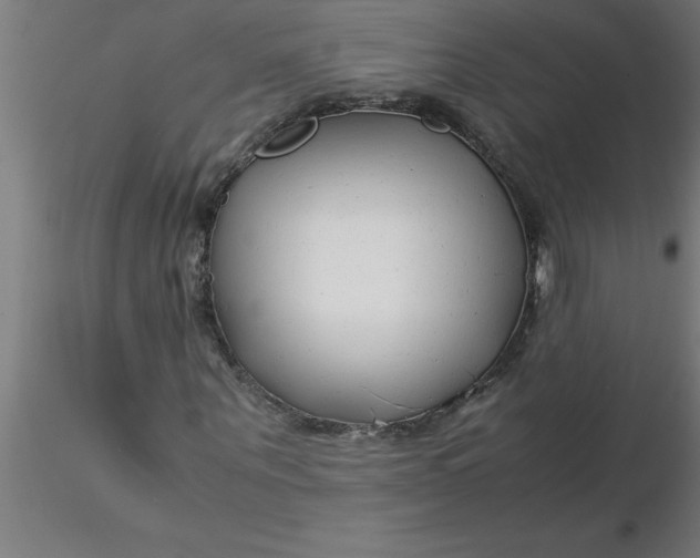 X0000116370867200912231314