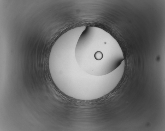 X0000116370868200912231314