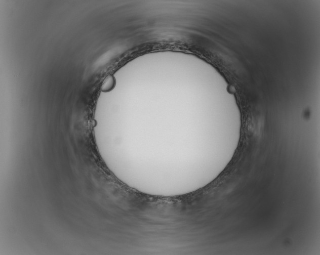 X0000116370869200912231314