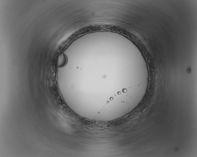 X0000116370871200912231314