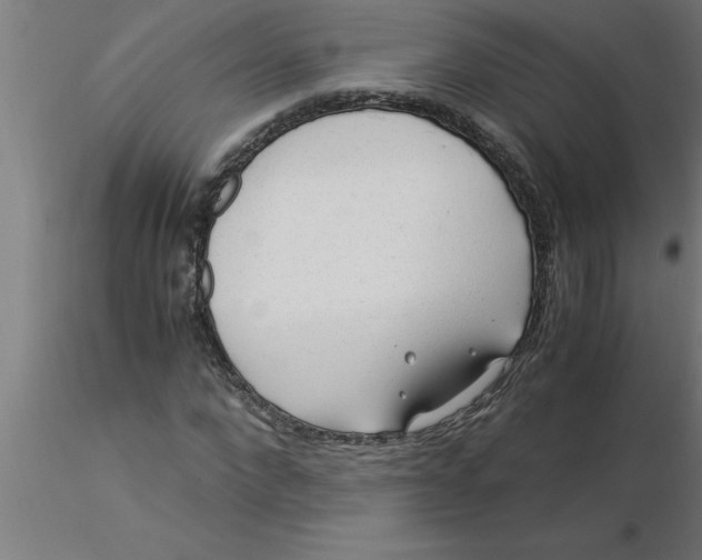 X0000116370872200912231314