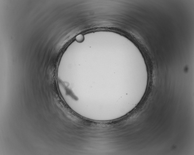 X0000116370873200912231314