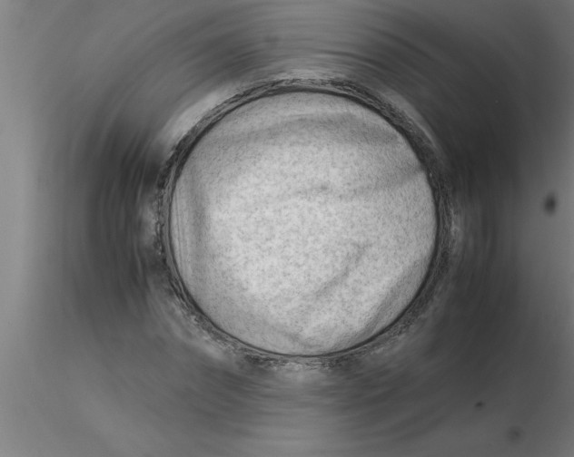 X0000116370874200912231313