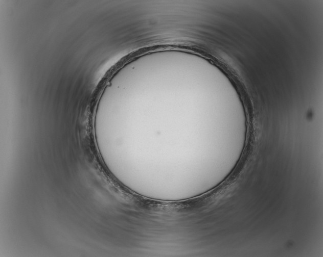 X0000116370875200912231313