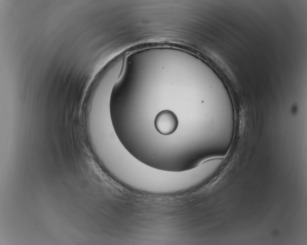 X0000116370876200912231313