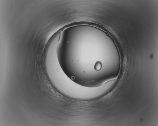 X0000116370877200912231313