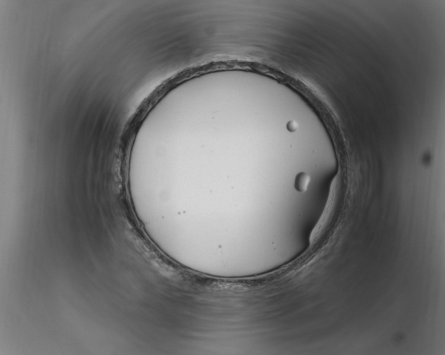 X0000116370878200912231313