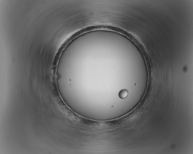 X0000116370879200912231313