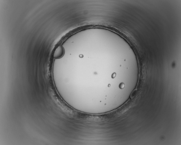 X0000116370880200912231313