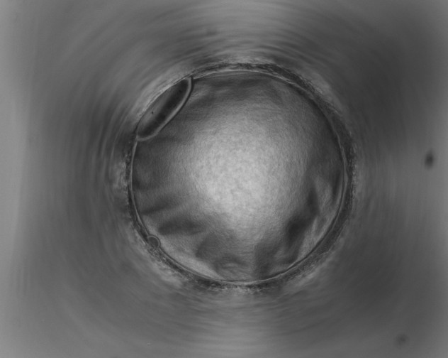 X0000116370881200912231313