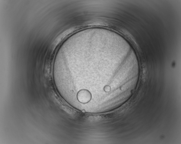 X0000116370882200912231313