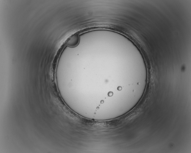 X0000116370883200912231313