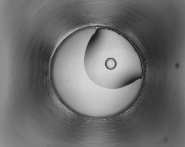 X0000116370884200912231313