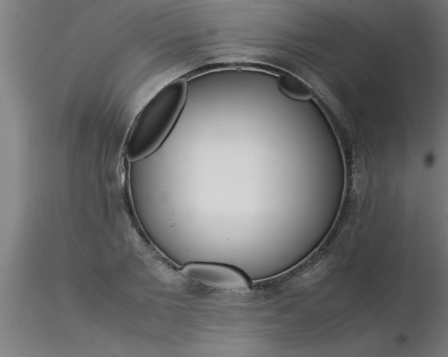 X0000116370885200912231313