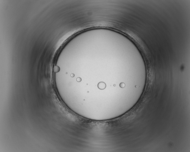 X0000116370886200912231313