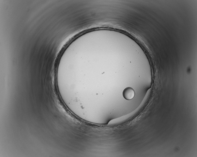 X0000116370888200912231313